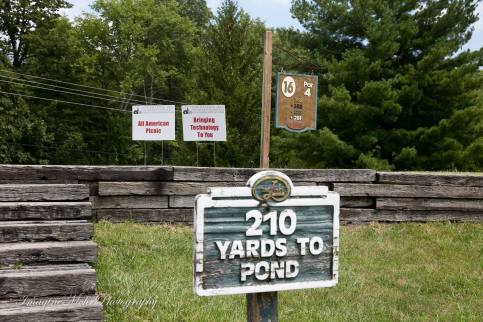 All American Picnic & Bringing Technology